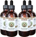 非洲樱桃 Py无酒精液体提取,非洲樱桃 Py(Prunus Africaa) Bark Glycerite Natural Herbal Supplement,夏威夷药典,美国4x4 oz