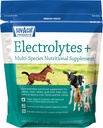 Sav-a-Caf Electrolytes PlusTM 补编 6英镑(6磅)
