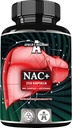 APOLLO的HEGEMONY NAC + 600 mg - N-乙酰L-Cysteine和Artichoke 提取,250 Vegan Capsules,8个月供应,氨基酸辅助剂支持活体和消化切除功能