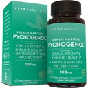 活性植物 Pycnogenol - 100mg 法国海洋松树条提取 - 支持环流,抗氧化剂类活动,联合和免疫卫生和功能 - 60 Veggie Capsules