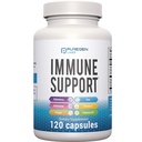 6 in 1 Imune 支持 120 Capsules 配有 强力 混合 的 长老莓 , Echinacea, Ginger, 维生素 C 650mg, 维生素 D3 5000 IU & Zinc Picolinate 30mg - Imune Booster 成人和孩子补充剂
