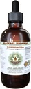 Echinacea无酒精液体提取剂,Echinacea (Echinacea Angustifolia) 干根甘油(Glycerite) 夏威夷药草天然草药补充剂 4 oz