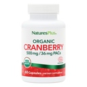 NaturesPlus 有机Cranberry 500 mg - 60 capsules - 帮助促进健康的尿道感染 - USDA 认证有机物,Vegan,Gluten Free,非GMO - 30 series