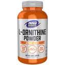 现在食品运动营养,L-Ornithine粉,蛋白质代谢*和Urea Detox*,氨基酸,8-Ounce