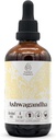 Ashwagandha 无酒精天然铁丝网提取器、 免疫系统助推器、 液滴来自100% Ashwagandha (Unitedania somnifera) 干根(4 fl oz)