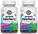 KAL 侏罗纪长生莓儿童 Gummys 健康免疫支持 USDA Official, Vegan, Gluten Free → 30 Servi, 60 Ct (Pack of 2)