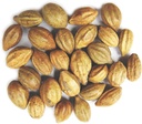 Naturals terminalia Chebula | Kadukkai | Harad | Inknut | Haritaki 印度原生草(200g(7 oz))