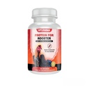 Rooster鸡的蛋白质混合剂 -- -- 蛋白质 Suero de Leche y Albumina de huevo para Gallos 100 tabletas