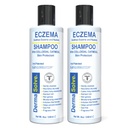 Dermasolve Eczema Relief Shampo - Flare Control Scalp & Dandruff 保护、摩尔化和修复儿童与成人皮肤的自由治疗 - 类固醇免费(2-Pack)