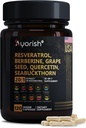 Reveratrol 补充 | Berberine Grape 种子提取 Quercetin 绿色茶叶提取 Acai Noni 多酚 女性和男性补充 N- Acetyl Cysteine NAD 助推 120 计数