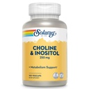 SOLARAY Choline & Inositol 250 mg → 健康脂肪代谢的双营养孔博,大脑功能支持 → 100 Veg Caps