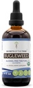 Bugleweed USDA 有机体 酒精-FREE 提取物 高概率草药滴 呼吸系统 100%认证有机体 Bugleweed(Ze Lan, Lycopus Virginicus) 干草药 4 oz