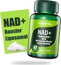 NAD+ 数字化 Resveratrol 补编