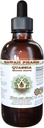 Quassia无酒精液体提取,Quassia (Quassia Amara) Dried Bark Glycerite Natural Herbal 补编,夏威夷药典,美国 2 f.oz