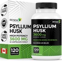 更新活性 Psyllium Husk 1200MG / 2 Capsules – Bulk-Forming Laxative & Solumiber 用于消化性健康,规律和成人健康 – 纯成分 – 加拿大制造 – 120 Capsules