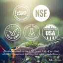 ML Naturals Mushrooms Complex 120 Vegetable Capsules. 6 基本蘑菇:有机Reishi,狮子的马内,Cordyceps,健康免疫支持,NSF-Cerific化 & cGMP-Compliant.