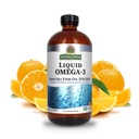自然之答液体Omega-3 深海鱼油,配有EPA/DHA 饮食补充 |心血管支持 | 无防腐剂 & Gluten-free 16oz(一包)