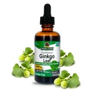 自然界的无酒精解答 Ginkgo Biloba 叶片提取, 2 Ounce, 2 Counter 支持健康大脑 – 推动认知功能 – 增强精神清晰度 – 自然焦点援助