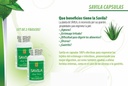 Savila, Aloe Vera Capsules 500 mg. Set de 2 frascos 100 capsulas CADA uno. Efectivo Contra ulceras, agruras,mala Digestion, Colitis, estreñimiento. 中国植物物种信息数据库. Dura mas de 3 Meses (英语).