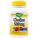 Nature's way Choline 500mg 100 平板电脑