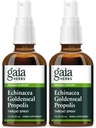 Gaia Herbs Echinacea Goldenseal Propolis Throray - 支持健康免疫反应, 1 Fl Oz (Pack of 2)