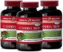 豁免支助补编 - Candida Away Plus - Candida Digestive - Candida Cleanse Extra Powers - 消化药 - Candida Cleanse for Men and Men - Candida Overgrew - 3瓶180卡普尔