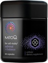 MitoQ + Balance + Sensoril Ashwagandha、Rhodiola 和 Maritime + 支持平衡科尔蒂索尔水平、压力管理、恢复睡眠和细胞健康(60个卡普尔)