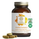 PURE SYNERGY Choline Complex | Vegan Choline 配以有机全食制作的 |非GMO 生物可用复合物 | 用于妊娠,大脑和肝脏健康(60片)