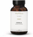 查加蘑菇增刊. 双萃取,纯果实体,30% 聚沙酰胺,500 mg,120 vegecaps(120天供应). 可以支持健康的消化,免疫功能,促进心脏健康.