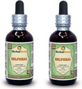 Selfheal (Prunella Vulgaris) Glycerite, 有机干草醇-FREE液体提取物(Brand name:Herbalterra, Proudly in USA) 2x2 f.oz (2x60 ml) (英语).