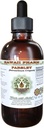 Parsley无酒精液体提取器,Parsley (Petroselinum Crispum) Root Glycerite Natural Herbal 补编,夏威夷药典,美国 2 f.oz