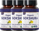 Gokshura 120块牌匾 — Tribulus Terrestris(Gokshura) — — — — — — — — — — — — — — — — — — — — — — — — — — — — — — — — — — — — — — — — — — — — — — — — — — — — — — — — — — — — — — — — — — — — — — — — — — — — — — — — — — — — — — — — — — — — — — — — — — — — — — — — — — — — — — — — — — — — — — — — — — — — — — — — — — — — — — — — — — — — — — — — — — — — — — — — — — — — — — — — — — — — — — — — — — — — — — — — — — — — — — — — — — — — — — — — — — — — — — — — — — — — — — — — — — — — — — — — — — — — — — — — — — — — — —
