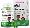 野生和有机爱尔兰海 Moss Gummys for Kids 800mg - 与Bladderwrack的免疫支持 - Vegan Sea Moss Gel Chews for 整体支持 - 60 非GMO Seamoss Gel Gummys