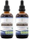 部落Bilberry水果无酒精液体提取的秘密,USDA有机Bilberry (Vacinium Myrtillus) 干果丁酸补充剂(2x4 FL OZ)