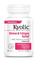 Kyolic Aged Garlic 提取法101,压力和法蒂格救济,100 Capsules.