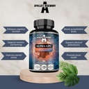 APOLLO的HEGEMONY Alpha-GPC 每日剂量600mg - 90 Vegan Choline Capsules - 99% Choline Alfoscerate 饮食补充 - Lipid Choline - 记忆和浓度 Capsules