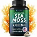 Sea Moss Capsules - 爱尔兰海 Moss Advanced with Burdock Root, Bladderwrack & Muira Puama for 豁免, Gut, & Energy - 超级食物海 Moss 补充 w/Raw Sea Moss Powder - 120 爱尔兰海莫斯药